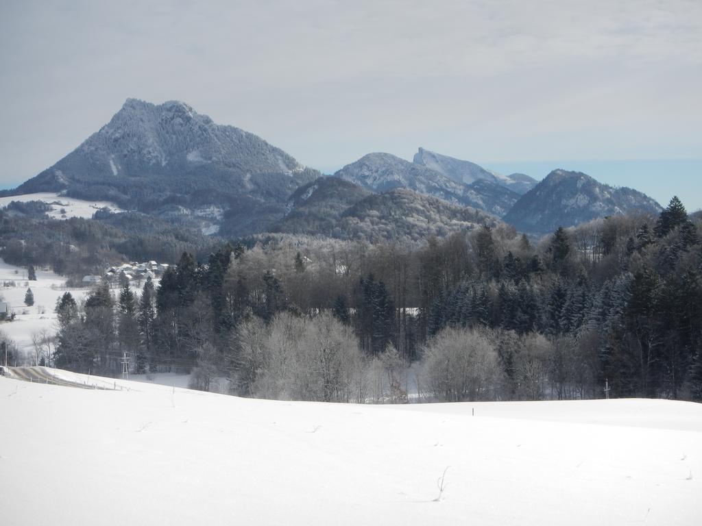 Ferienwohnung Nahe Fuschlsee, Hof Bei Salzburg Extérieur photo