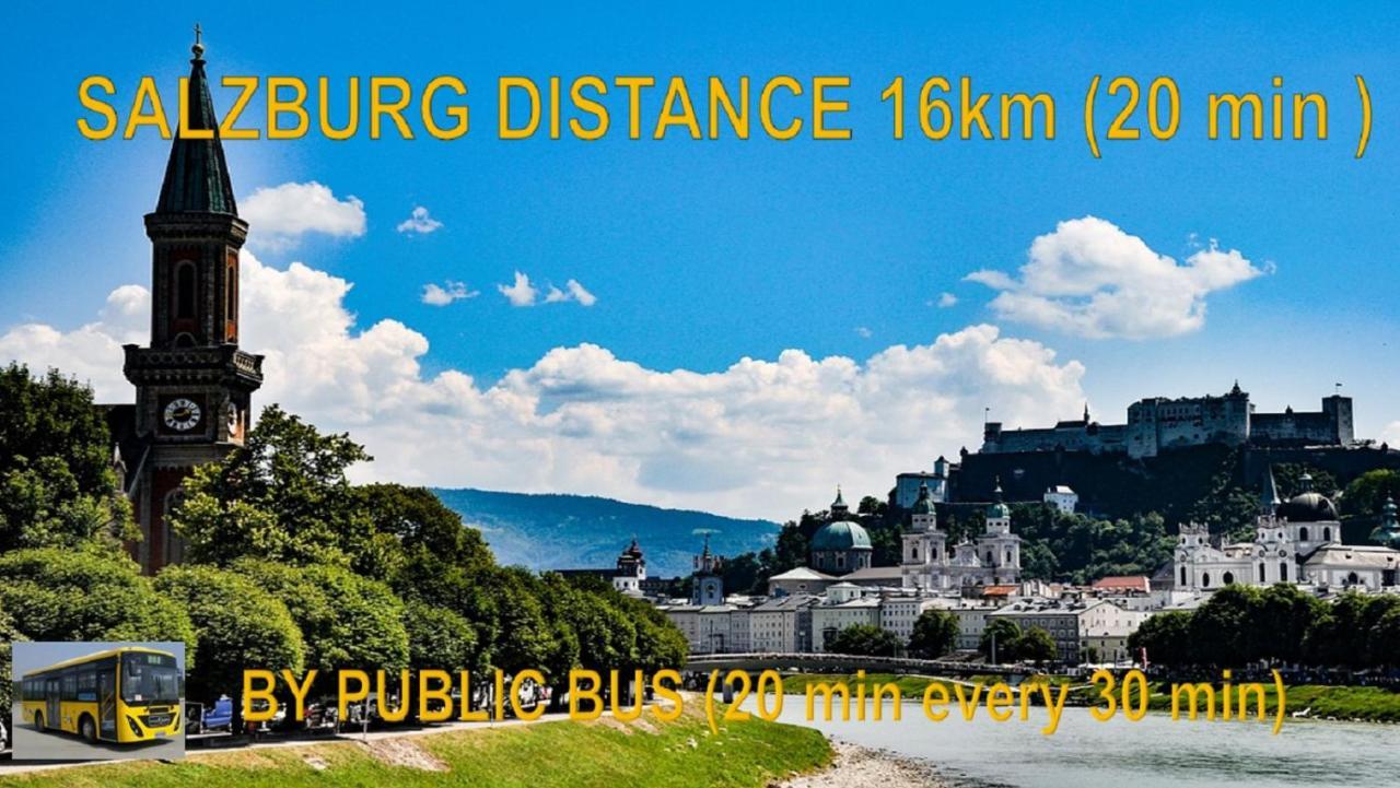 Ferienwohnung Nahe Fuschlsee, Hof Bei Salzburg Extérieur photo